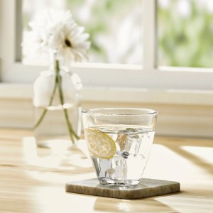 Wayfair Basics™ Wayfair Basics 8.75 oz. Water Glass WFBS1395